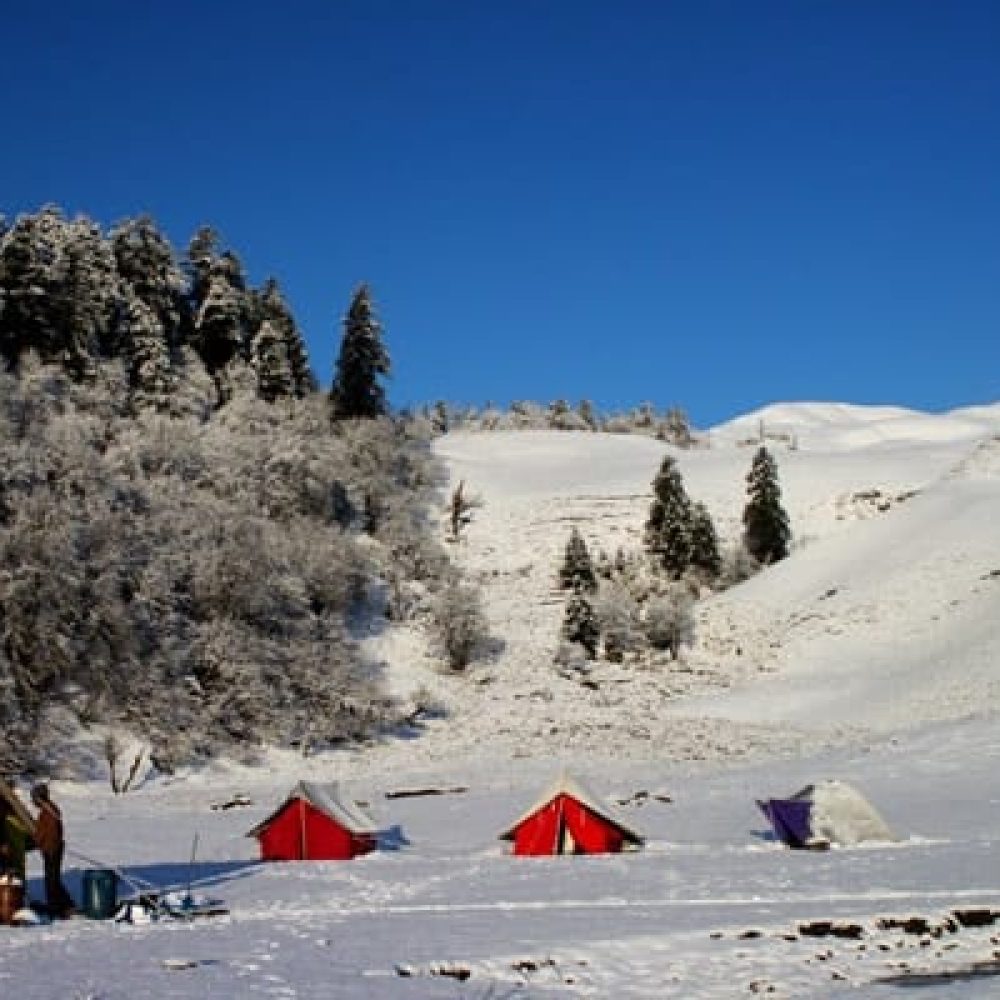 Dayara Bugyal - Outdoor Whisperer (4)