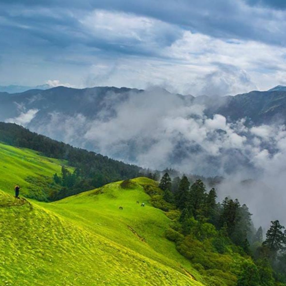 Dayara Bugyal - Outdoor Whisperer (6)